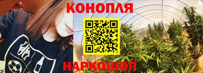 гидропоника Коммунар
