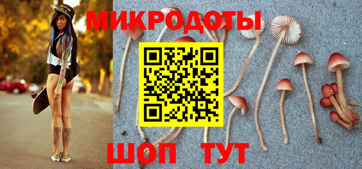 Псилоцибиновые грибы прущие грибы  Вход с VPN  Коркино 