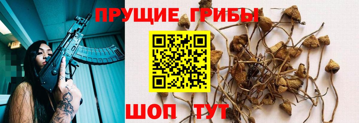 Псилоцибиновые грибы прущие грибы Коркино